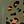 Military Green Leopard