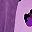 Purple Leopard