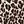 Black Leopard