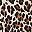 Black Leopard