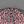 Grey Pink Leopard Blue
