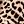 Brown Leopard Print