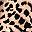 Brown Leopard Print