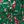 Christmas Green
