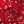 Christmas Red