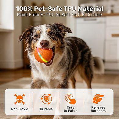Smart Bounce Motion Activated 2 Mode Interactive Dog Toy