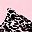 Pink Leopard