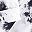 Black White