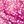 Raspberry Burst