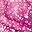 Raspberry Burst