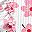 Pink Floral