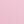 Pink Daisy