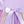 Lilac Rainbow