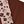 Maroon Teddy Print