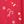 Red Christmas