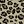Leopard Print