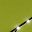 Fruit Green