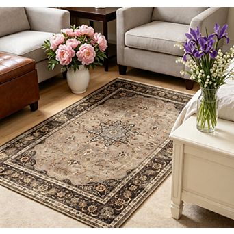 Vintage Living Room Area Rug Soft Washable Oriental Traditional Distressed Farmhouse Rugs