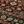 Reddish Brown