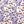 Purple Print