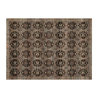 Vintage Living Room Area Rug Soft Washable Oriental Traditional Distressed Farmhouse Rugs