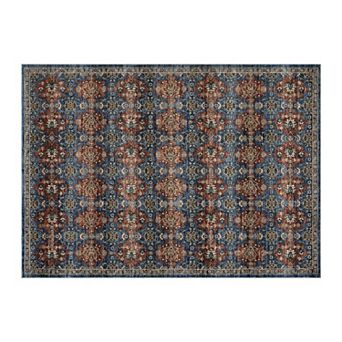 Vintage Living Room Area Rug Soft Washable Oriental Traditional Distressed Farmhouse Rugs