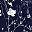 Dark Blue White