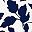 Navy White