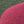 Grey Green Red