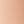 Rosy Apricot