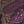 Rose Red Black Purple
