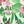 Pink Multi