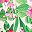 Pink Multi