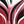 Red Black Ombre
