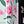 Green Pink Flower