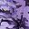 Purple Camo