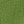 Matcha Green
