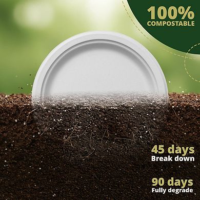 6" Round Biodegradable Plate