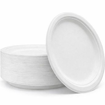 10" Round Biodegradable Plate