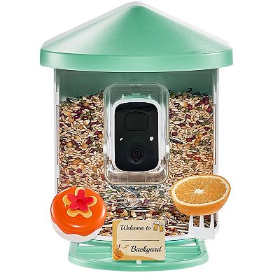 Smart Bird Feeder with 2L Food Container, Night Vision, and Solar Charging