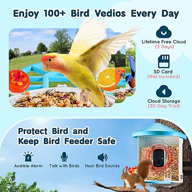 Smart Bird Feeder with 2L Food Container, Night Vision, and Solar Charging