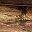 Rustic Brown