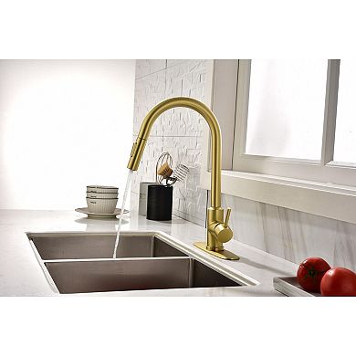 Kitchen Faucet with Touchless Sensor and Pull Down Sprayer, Single Hole, Hot and Cold Control