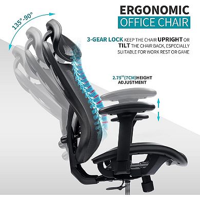 Ergonomic Mesh Office Chair Adjustable Lumbar, Headrest