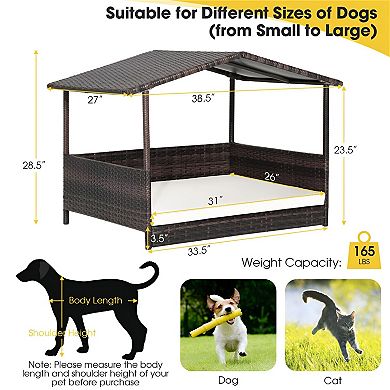 Elevated Dog Bed with Rattan Frame and Removable Cushion
