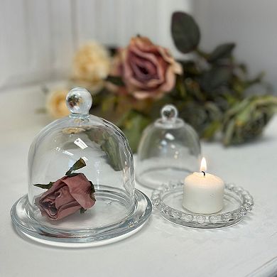 Glass Dome Display Cloche with Base Candle and Decorative Accent Cover for Tabletop Shelf