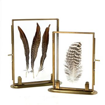 Solid Brass Glass Photo Frame with Stand Tabletop Specimen Display Frame