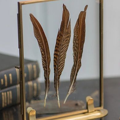 Solid Brass Glass Photo Frame with Stand Tabletop Specimen Display Frame
