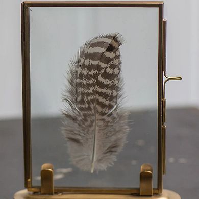 Solid Brass Glass Photo Frame with Stand Tabletop Specimen Display Frame