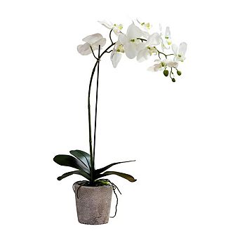 Orchid Plant in Concrete Style Pot, Artificial Floral Décor for Home Entryway Table